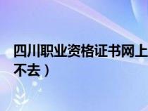 四川职业资格证书网上查询（四川职业资格证书查询网址进不去）