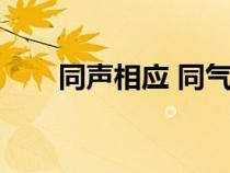 同声相应 同气相求典故（同声相应）
