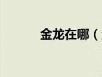 金龙在哪（金龙秘境最佳路线）