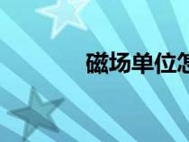 磁场单位怎么读（磁场单位）
