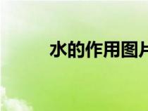 水的作用图片幼儿园（水的作用）
