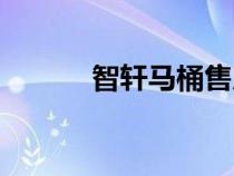 智轩马桶售后服务电话（智轩）