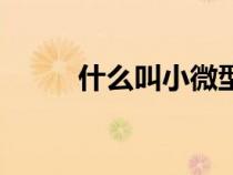 什么叫小微型企业（小微型企业）