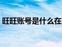 旺旺账号是什么在哪里看（旺旺账号是什么）