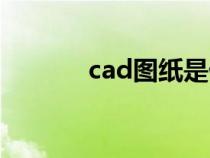 cad图纸是什么样子（cad图）