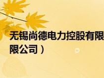 无锡尚德电力控股有限公司主要项目（无锡尚德电力控股有限公司）
