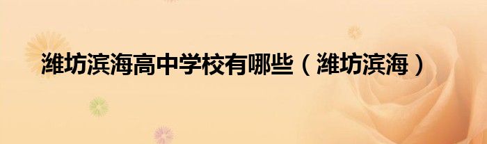 潍坊滨海高中学校有哪些（潍坊滨海）