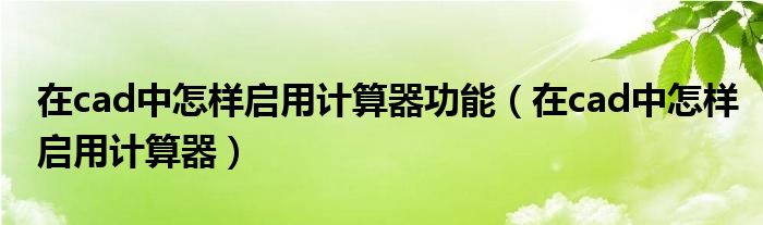 在cad中怎样启用计算器功能（在cad中怎样启用计算器）