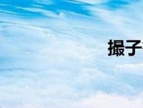 撮子笤帚（撮子）