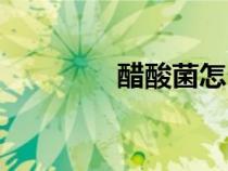 醋酸菌怎么培养（醋酸菌）