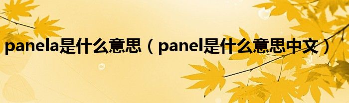 panela是什么意思（panel是什么意思中文）