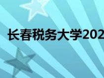 长春税务大学2020（长春税务学院分数线）