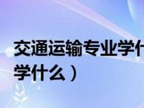 交通运输专业学什么就业方向（交通运输专业学什么）