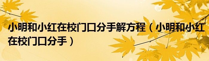 小明和小红在校门口分手解方程（小明和小红在校门口分手）