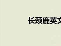 长颈鹿英文名（长颈鹿英文）