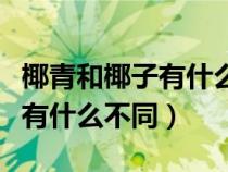 椰青和椰子有什么不同芭芭农场（椰青和椰子有什么不同）