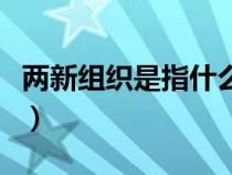 两新组织是指什么新业态（两新组织是指什么）