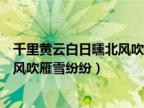 千里黄云白日曛北风吹雁雪纷纷的意思（千里黄云白日曛北风吹雁雪纷纷）