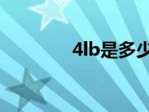 4lb是多少斤（4l是多少斤）