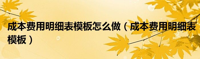 成本费用明细表模板怎么做（成本费用明细表模板）