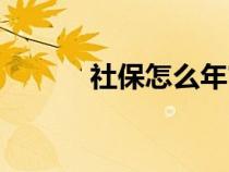 社保怎么年审（社保年审流程）