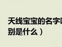 天线宝宝的名字叫什么?（天线宝宝的名字分别是什么）