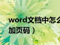 word文档中怎么加页码（怎么给word文档加页码）