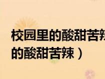 校园里的酸甜苦辣作文600字六年级（校园里的酸甜苦辣）
