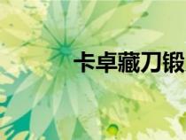 卡卓藏刀锻刀视频（卡卓藏刀）