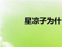 星凉子为什么不回归（星凉子）