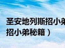 圣安地列斯招小弟秘籍用不了了（圣安地列斯招小弟秘籍）