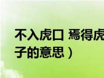 不入虎口 焉得虎子的故事（不入虎穴焉得虎子的意思）