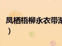 凤栖梧柳永衣带渐宽终不悔原文（凤栖梧柳永）