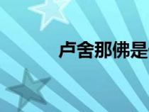 卢舍那佛是什么佛（卢舍那佛）