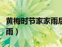 黄梅时节家家雨后一句是什么（黄梅时节家家雨）