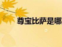尊宝比萨是哪里的品牌（尊宝比萨）