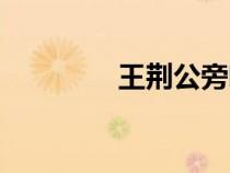 王荆公旁听文史（王荆公）