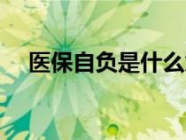 医保自负是什么意思（自负是什么意思）