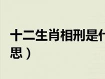 十二生肖相刑是什么意思（属相相刑是什么意思）