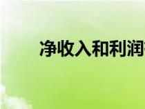 净收入和利润有什么区别（净收入）