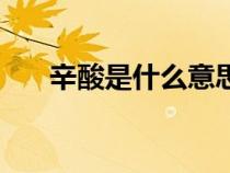 辛酸是什么意思呢（心酸是什么意思）