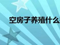 空房子养殖什么挣钱快（养什么最赚钱）