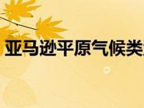 亚马逊平原气候类型气候特点（亚马逊平原）