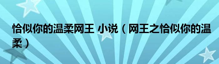恰似你的温柔网王 小说（网王之恰似你的温柔）