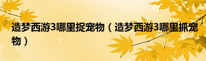造梦西游3哪里捉宠物（造梦西游3哪里抓宠物）