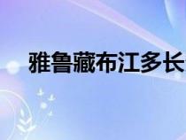 雅鲁藏布江多长多少千米（雅鲁藏布江）