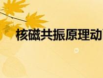 核磁共振原理动画演示（核磁共振原理）