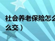 社会养老保险怎么交最划算（社会养老保险怎么交）