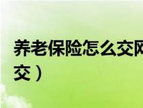 养老保险怎么交网上缴费步骤（养老保险怎么交）