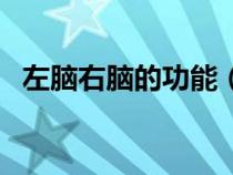 左脑右脑的功能（左脑右脑分别控制什么）